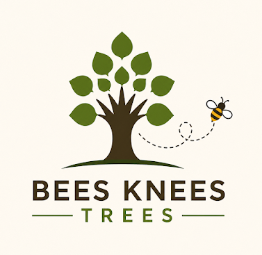 Bees Knees Trees Gold Coast